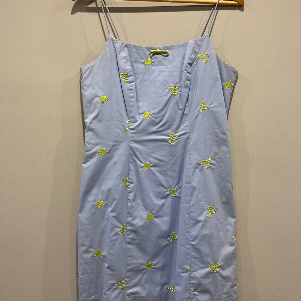 Lilly Pulitzer NWT Light Blue Dress with Lime Green Embroidery